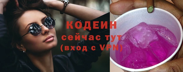 спиды Горняк