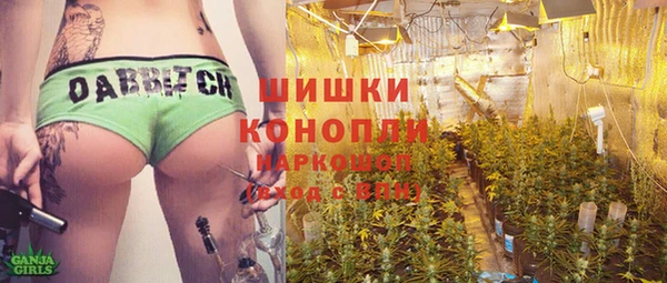 спиды Горняк