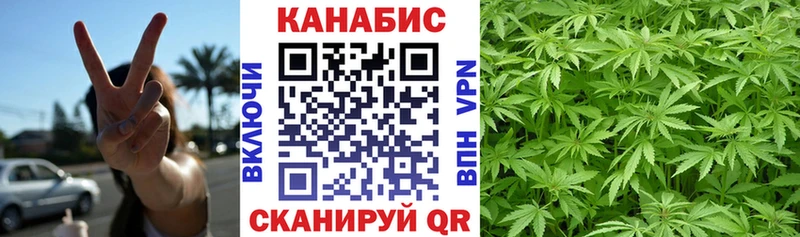 Каннабис сатива  Черногорск 